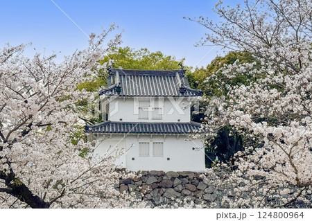 大分府内城址と満開の桜 124800964