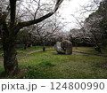 広島市佐伯区 海老山の海老山公園 桜の季節の写真 124800990