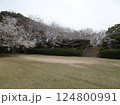 広島市佐伯区 海老山の海老山公園 桜の季節の写真 124800991