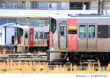 【JR西日本】227系0番台〜Red Wing〜と227系500番台〜Urara〜（山陽線：糸崎駅） 124801010