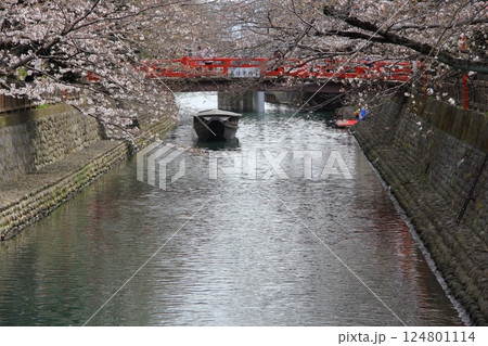 春の奥の細道むすびの地散策・17（岐阜県大垣市） 124801114