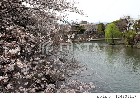 春の奥の細道むすびの地散策・14(岐阜県大垣市) 春の奥の細道むすびの地散策・14(岐阜県大垣市) 124801117