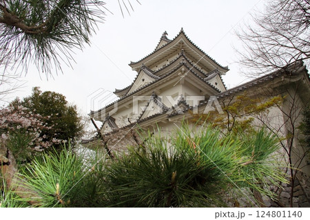 春の奥の細道むすびの地散策・30（岐阜県大垣市） 124801140