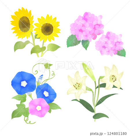 日本の夏の花 イラストセット ひまわり、あじさい、ユリ、朝顔 日本の夏の花 イラストセット ひまわり、あじさい、ユリ、朝顔 124801180