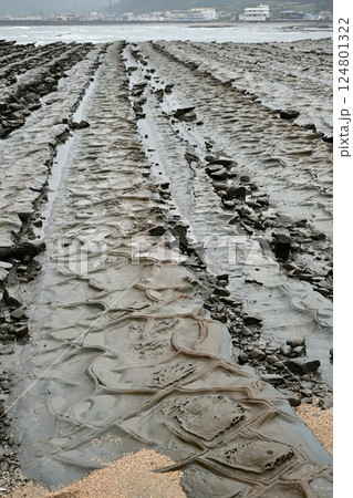 青島海岸の鬼の洗濯板 124801322