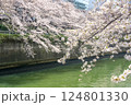 東京都 目黒川の桜 124801330