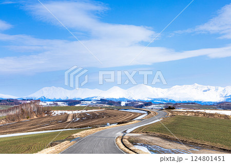 雪解けが進む春の北海道美瑛町の雄大な風景 雪解けが進む春の北海道美瑛町の雄大な風景 124801451
