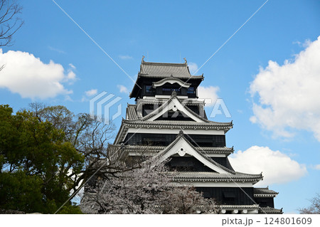 熊本城 124801609