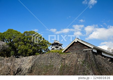 熊本城 熊本城 124801616