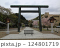 春の護国神社散策・2（岐阜県岐阜市長良川河畔） 124801719