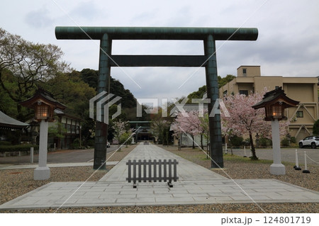 春の護国神社散策・2(岐阜県岐阜市長良川河畔) 春の護国神社散策・2(岐阜県岐阜市長良川河畔) 124801719
