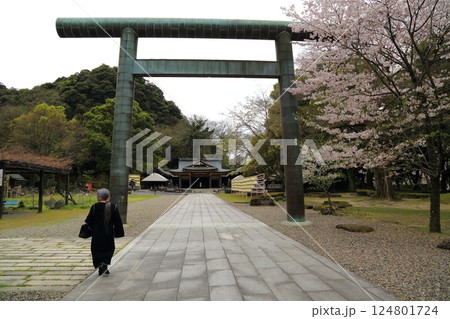 春の護国神社散策・7（岐阜県岐阜市長良川河畔） 124801724