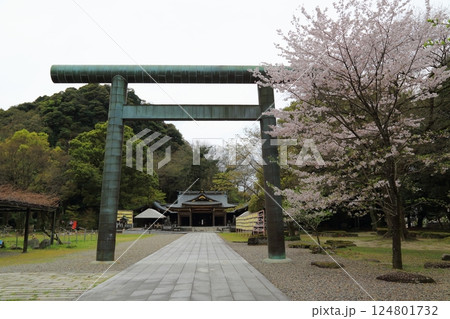 春の護国神社散策・15(岐阜県岐阜市長良川河畔) 春の護国神社散策・15(岐阜県岐阜市長良川河畔) 124801732