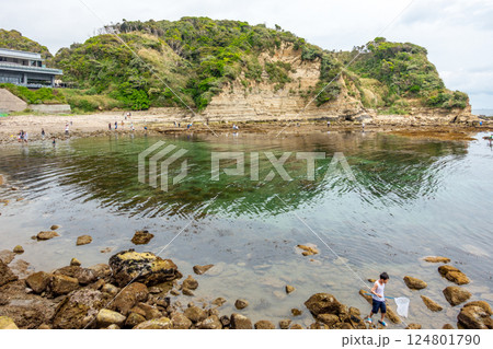 かつうら海中公園　勝浦海中公園　岩場が多くウニやアワビが生息 124801790