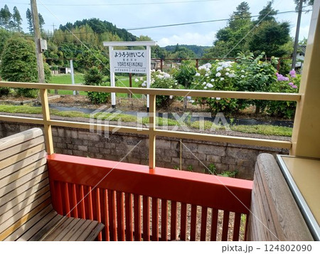 トロッコ列車からの車窓 トロッコ列車からの車窓 124802090