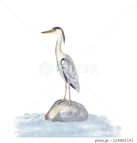 Grey heron water bird standing on a stone in water watercolor illustration isolated on white. Hand drawn clip art sketch style perfect for cards, posters, stickers, book decor, Asian style landscape Grey heron water bird standing on a stone in water watercolor illustration isolated on white. Hand drawn clip art sketch style perfect for cards, posters, stickers, book decor, Asian style landscape 124802141