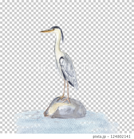 Grey heron water bird standing on a stone in water watercolor illustration isolated on white. Hand drawn clip art sketch style perfect for cards, posters, stickers, book decor, Asian style landscape Grey heron water bird standing on a stone in water watercolor illustration isolated on white. Hand drawn clip art sketch style perfect for cards, posters, stickers, book decor, Asian style landscape 124802141