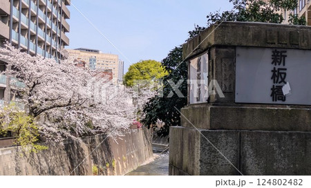 新板橋と石神井川沿道に咲く満開の桜 新板橋と石神井川沿道に咲く満開の桜 124802482