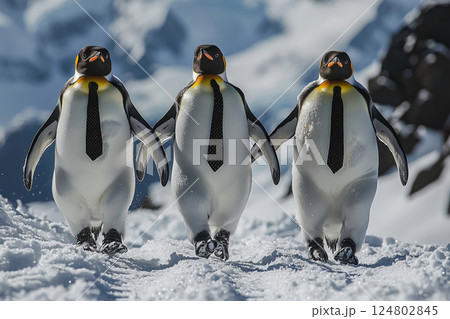 ネクタイ姿で雪原を歩く3羽のペンギン 124802845