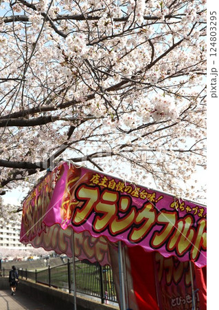 桜祭りの朝 124803295