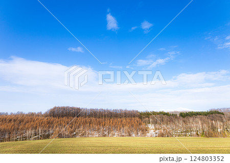 爽やかな春の北海道美瑛町の風景 爽やかな春の北海道美瑛町の風景 124803352
