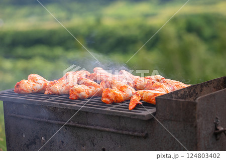 Delicious grilled meat on barbecue grill with smoke and flames in green grass Delicious grilled meat on barbecue grill with smoke and flames in green grass 124803402