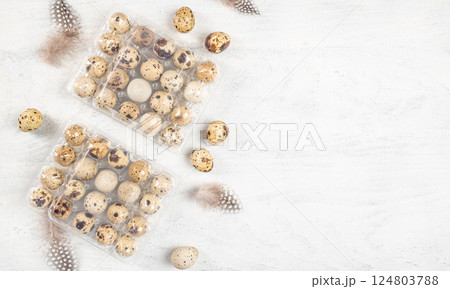 lots of quail eggs in the plastic tray on a light background, ecological farm products. top view. copy space lots of quail eggs in the plastic tray on a light background, ecological farm products. top view. copy space 124803788