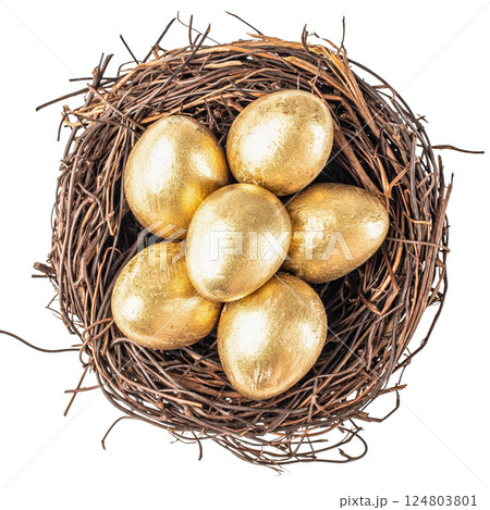 Quail eggs in a nest isolated on white background. top view 124803801