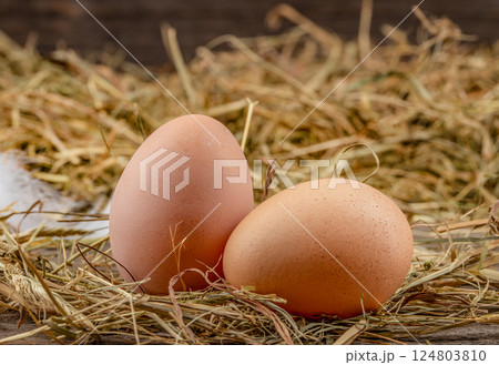Two raw egg in a nest on a straw pillow. eco poultry farm, free range chicken farm Two raw egg in a nest on a straw pillow. eco poultry farm, free range chicken farm 124803810