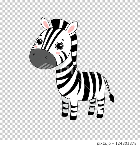 Simple and cute zebra illustration 124803878