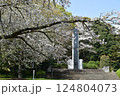 桜散る　小田原城山公園 124804073