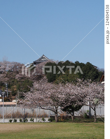 神田公園のサクラと山寺(公園から見た桜の咲いた高法寺) 神田公園のサクラと山寺(公園から見た桜の咲いた高法寺) 124804538