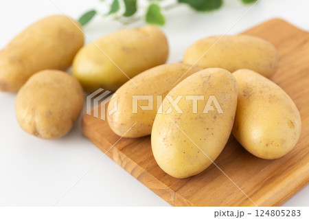 メークインじゃがいも メークインじゃがいも 124805283