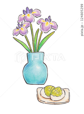 菖蒲の花と柏餅の色鉛筆イラスト 124805299