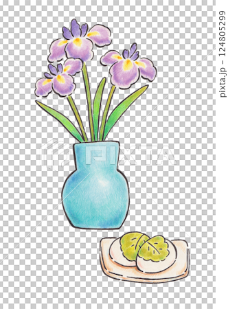 菖蒲の花と柏餅の色鉛筆イラスト 124805299