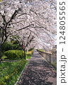恩田川の桜 124805565