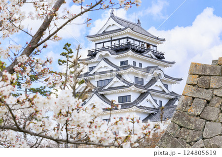 桜満開の福山城 124805619