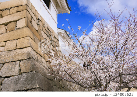 桜満開の福山城 124805623