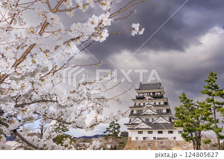 桜満開の福山城 桜満開の福山城 124805627