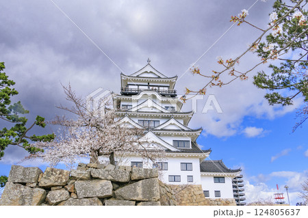 桜満開の福山城 桜満開の福山城 124805637