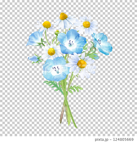 ネモフィラとカモミールの小さな花束の水彩イラスト。 124805669