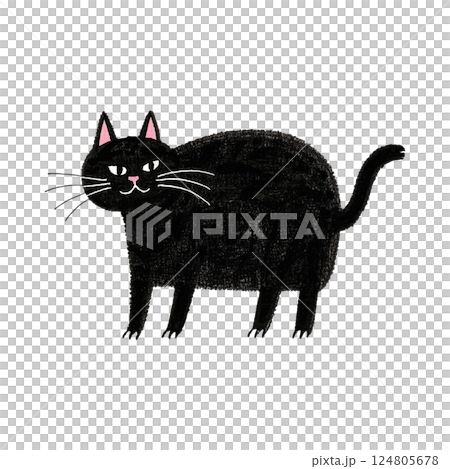 類別：1 124805678