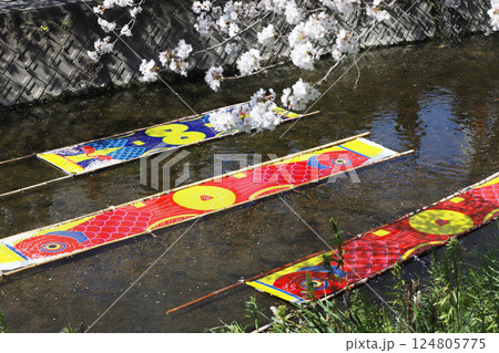 桜 岩倉市 桜まつり 五条川 桜 岩倉市 桜まつり 五条川 124805775