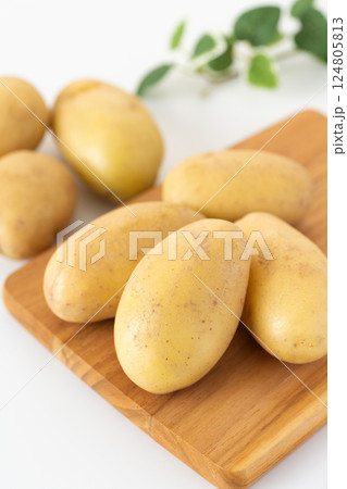 メークインじゃがいも 124805813