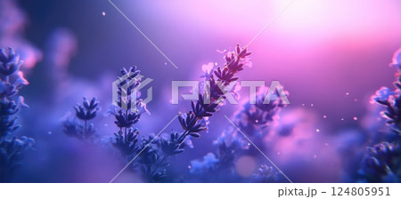 Lavender flowers in the foreground blurred background macro photography. Lavender flowers in the foreground blurred background macro photography. 124805951
