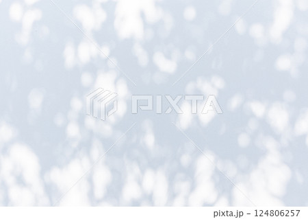 Abstract natural tree leaves shadow on white wall background Abstract natural tree leaves shadow on white wall background 124806257