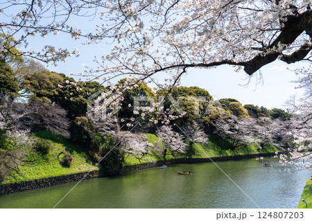 桜満開の千鳥ヶ淵を散策 桜満開の千鳥ヶ淵を散策 124807203