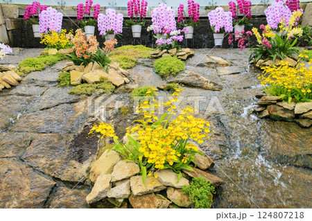 とっとり花回廊　満開の春の花々 124807218