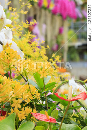 とっとり花回廊 満開の春の花々 とっとり花回廊 満開の春の花々 124807226