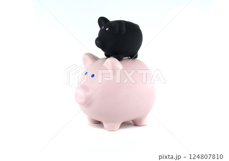 Two Piggy Banks Symbolizing Financial Growth and Savings Strategy Two Piggy Banks Symbolizing Financial Growth and Savings Strategy 124807810